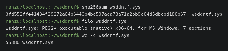 terminal: sha256sum, file e wc sobre wsddntf.sys