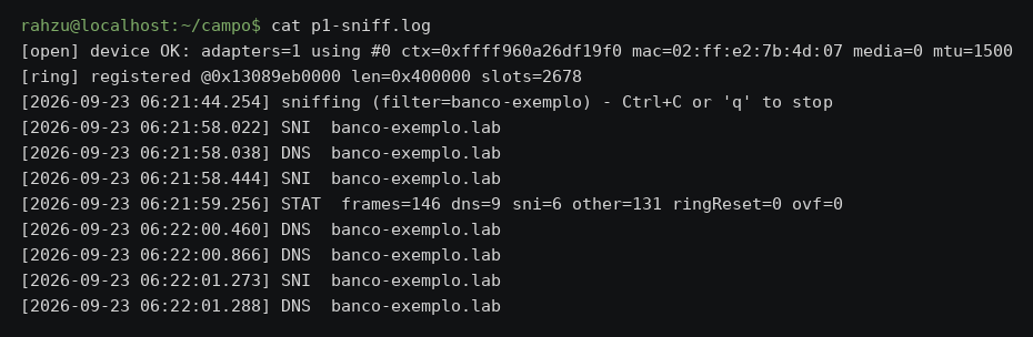 terminal: log de captura com consultas DNS e SNI em tempo real